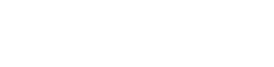 PitStop white logo